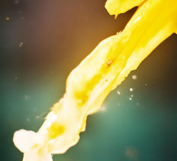 解析国内食堂承包的现状与未来